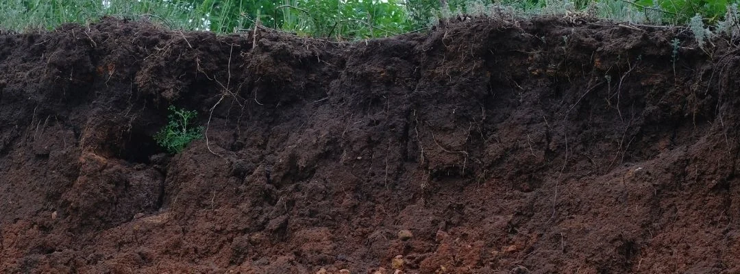 Managing Soil Erosion and Runoff on a Sloping Block